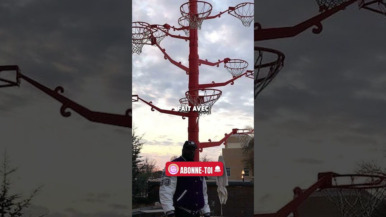 Pourquoi on ne voit plus de panneaux se casser…🤯 #shaq #shaquilleoneal