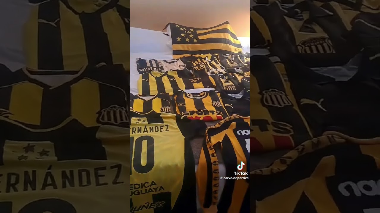 todas las pilchas del cardonero las mejores camisetas